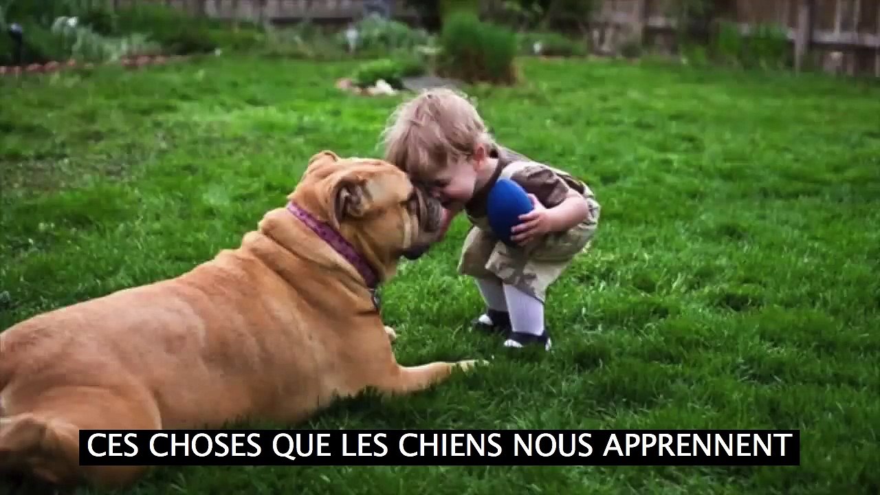 Ces choses que les chiens nous apprennent