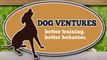 Dog Obedience Training Lakewood, CO | DOG VENTURES