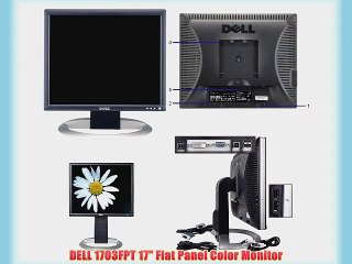DELL 1703FPT 17 Flat Panel Color Monitor