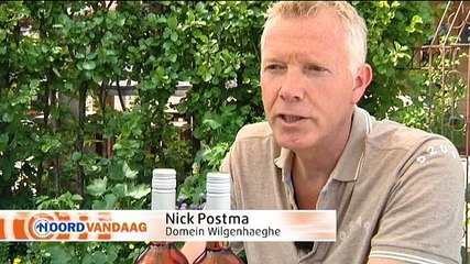 Nu ook Groninger rose uit het Westerkwartier - RTV Noord