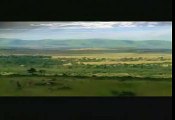 Video Divertenti - Ogni Mattina In Africa Una Gazella Si Sveglia E Comincia A Correre.mpeg