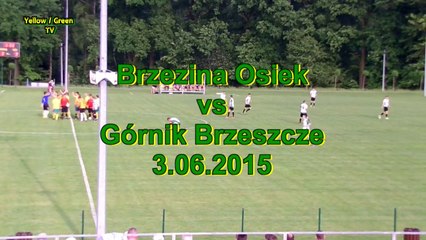 Brzezina Osiek 8-0 Górnik Brzeszcze - tak padały bramki