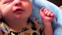 Funny  Cats Funny Babies Laughing Compilation