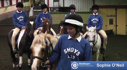 Strathearn Pony Club -  Horse of the Year Show 2013