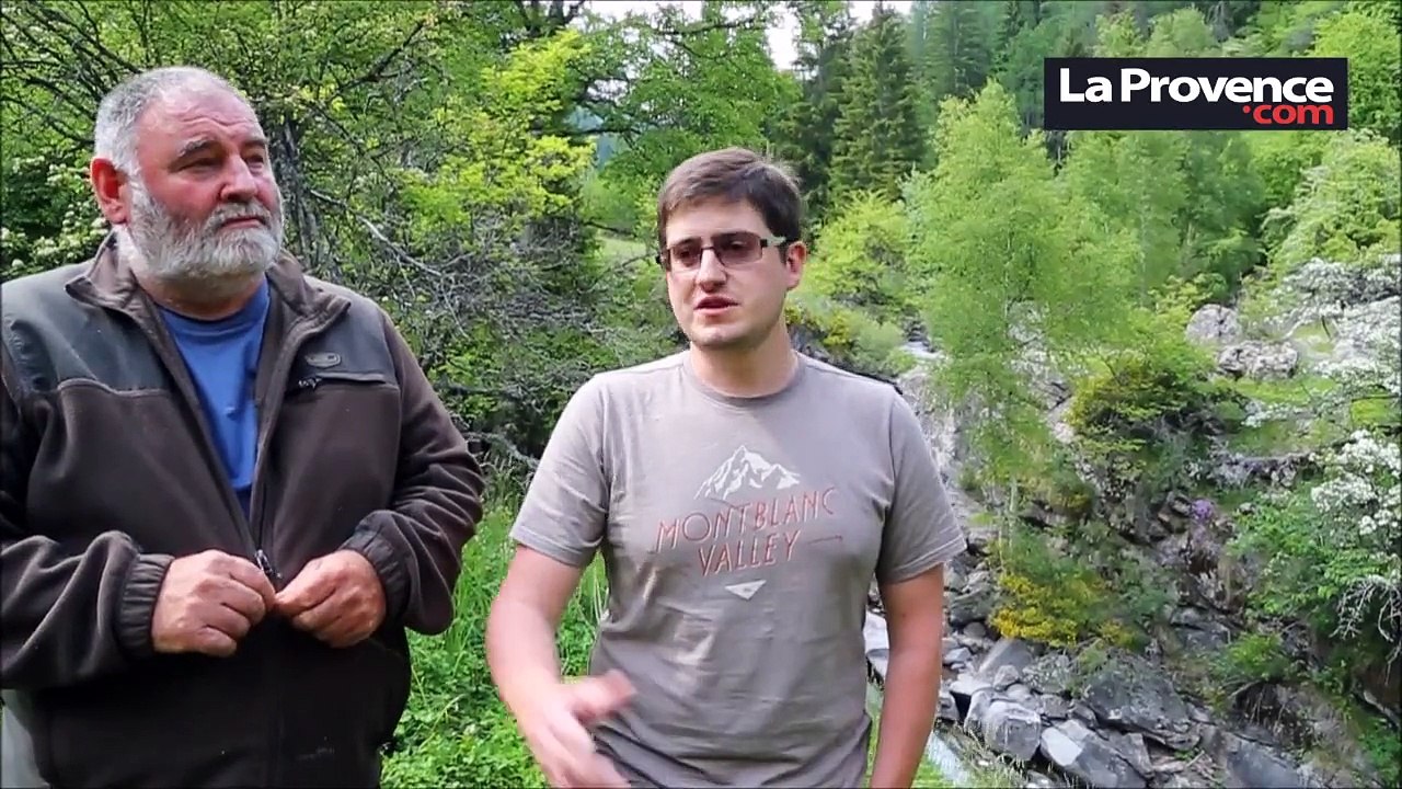 Alpes : les riverains se mobilisent contre le projet d'une micro centrale hydroélectrique