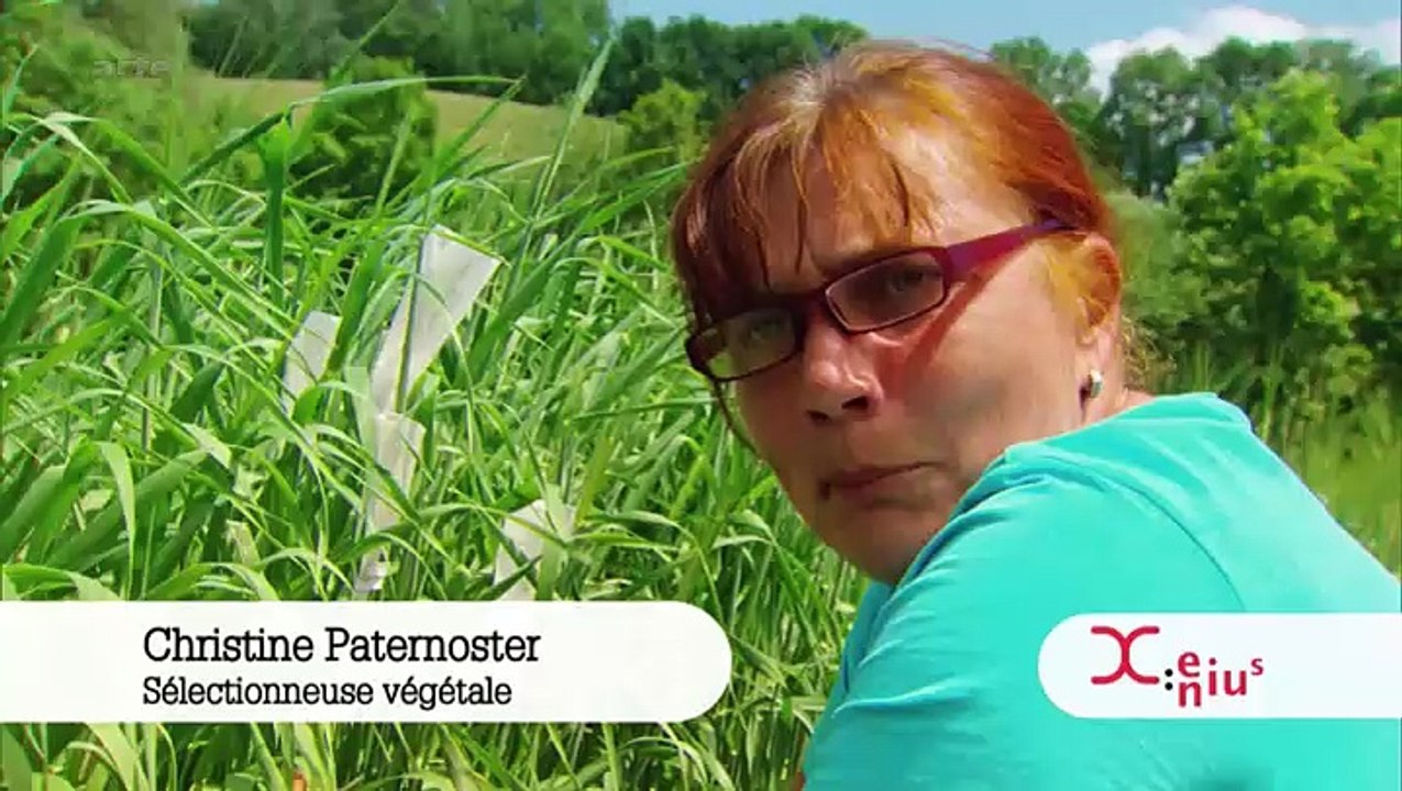 Des alternatives au céréale fragile au réchauffement climatique_Xenius