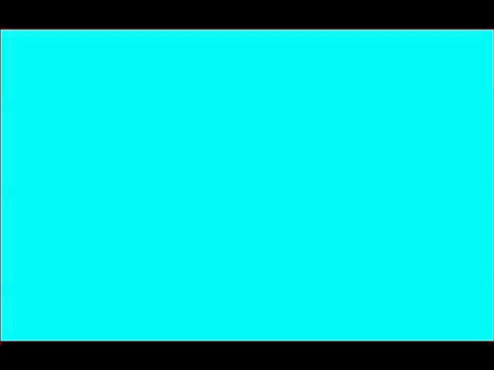 kimseye etmem şikayet