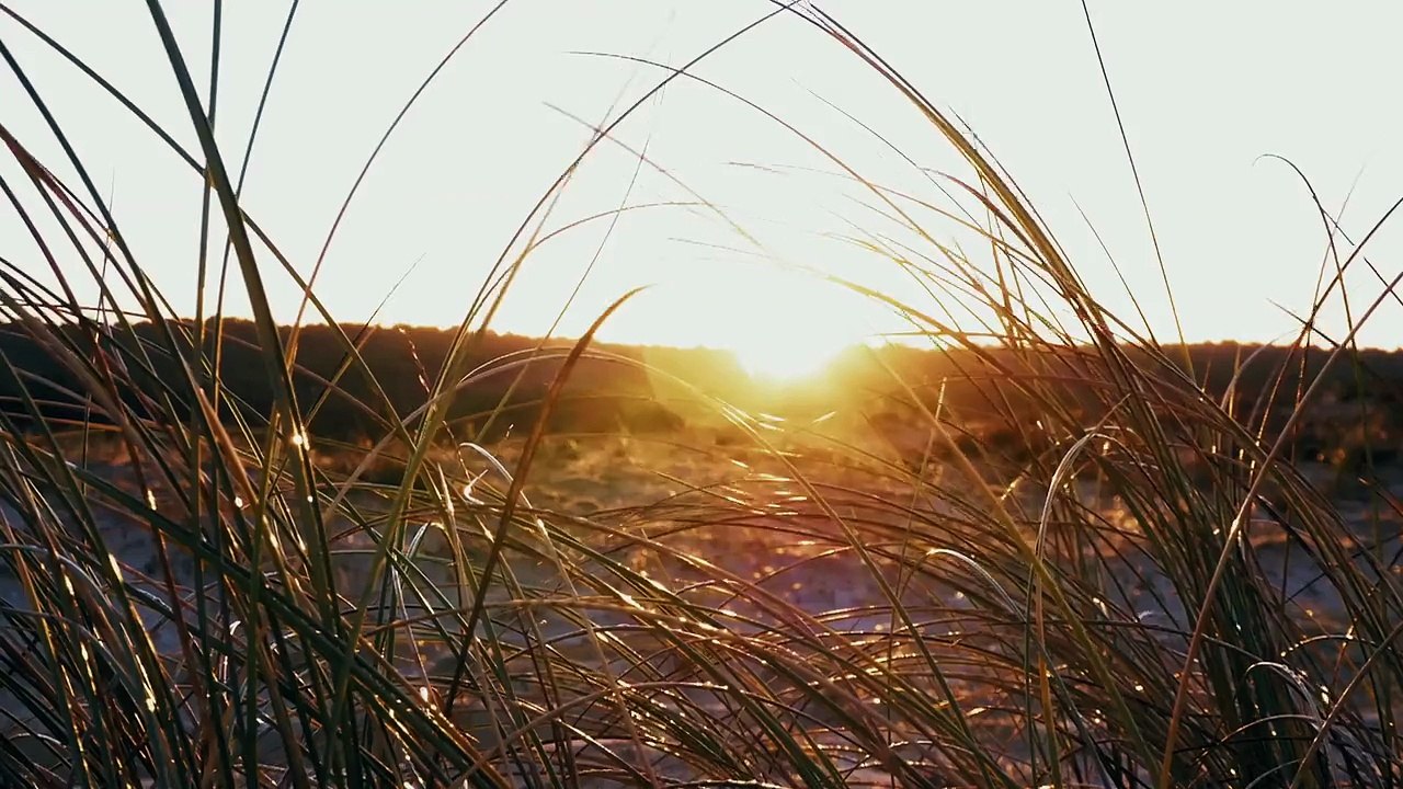 Thank you spring : quand Vincent Duvignac fracasse les Landes au printemps !
