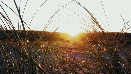 Thank you spring : quand Vincent Duvignac fracasse les Landes au printemps !