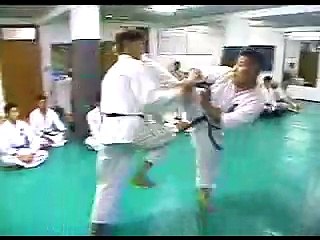 karate vs Tang soo do