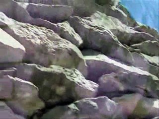 BALKAN - Kolonisti (1982)
