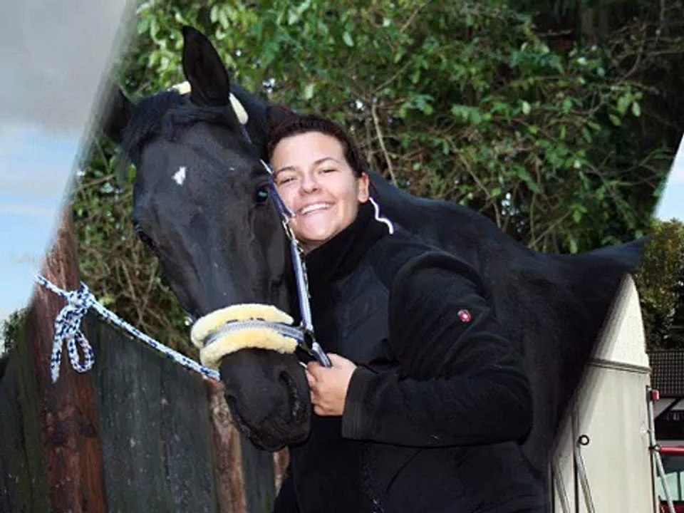 Mein erstes eigenes Pferd