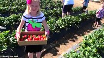 Strawberry Fields Forever- Kids Fun -