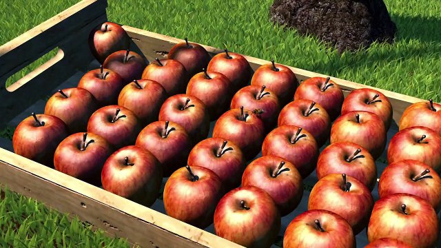 O desaparecimento das abelhas