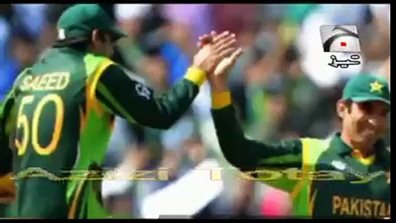 Funny Cricket Video