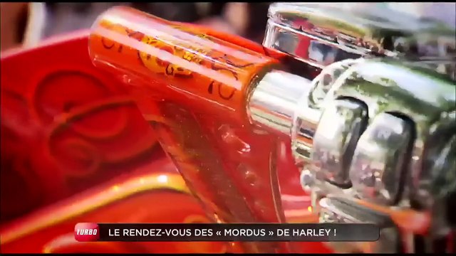 Insolite : des Harley Davidson sur la Côte d'Azur (Emission Turbo du 07/06/2015)