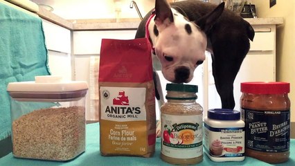 Easy Peanut Butter Dog Treats [Gluten free, dairy free & egg free]