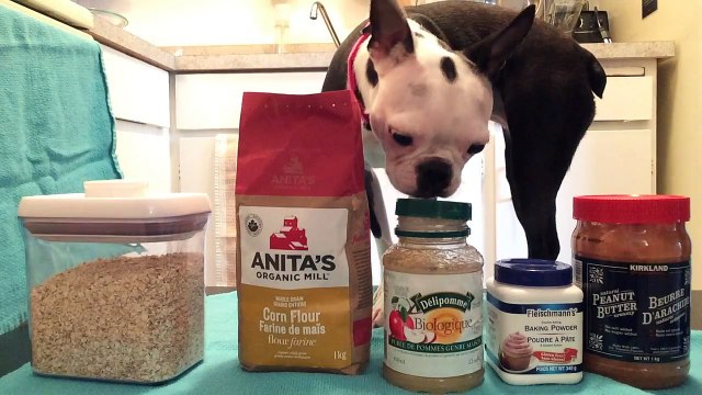 Easy Peanut Butter Dog Treats [Gluten free, dairy free & egg free]