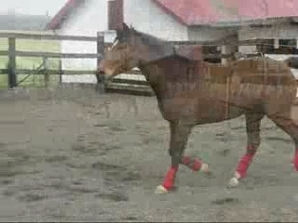 Flicka saut en liberté