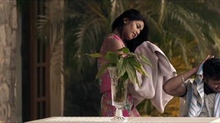 Sanu Ik Pal Chain Video Song [2015] Shivai Vyas