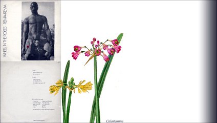 Rema-Rema by REMA-REMA & BIG BLACK 1980, '85