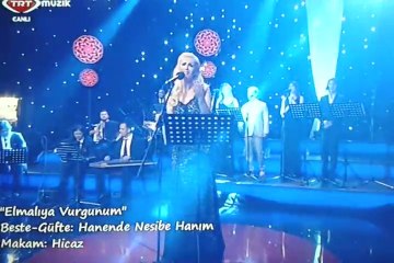 Melda Kuyucu Kılıç - Elmalıya Vurgunum