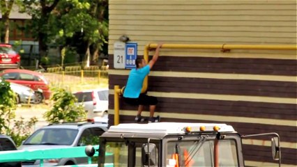 Mustang climbing a 14 story building and back down