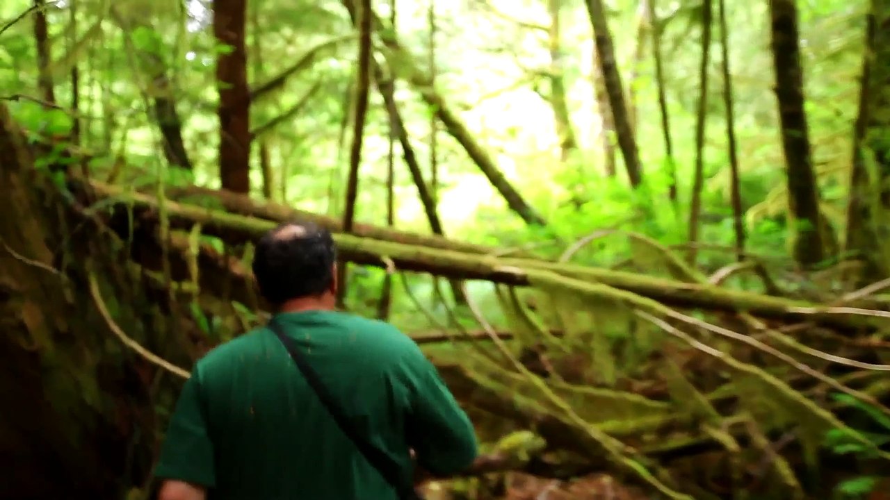 Vancouver Island- Inception - Canon 5D Mark II - Glidecam HD 2000