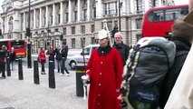 Whitehall horse guards - London (Londres)