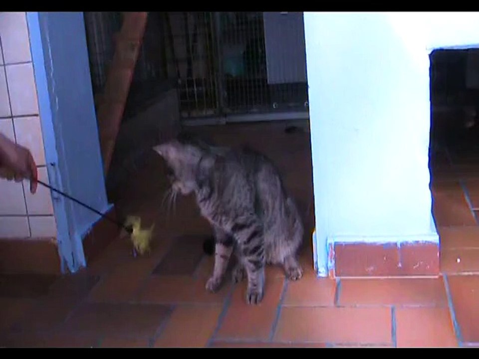 Casper 06062015 (4)