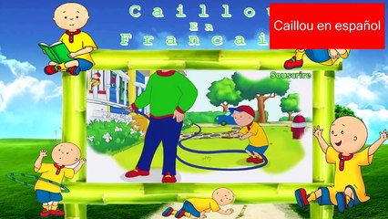 Caillou En Francais Le grand Caillou