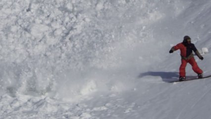 Un lièvre se jette dans une avalanche