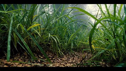 Jurassic World Official Extended First Look (2015) - Chris Pratt Movie HD