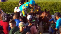 Reiten: American Pharoah schreibt Geschichte