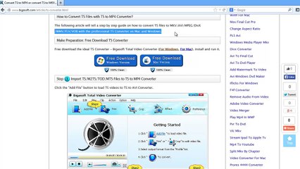 TS Converter -- How to Convert TS/TSV/TSA to MP4/MPEG/DivX/WMV/FLV/VOB/ MKV/AVI