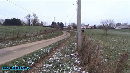 Charge d'un sanglier sur des promeneurs !