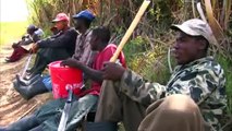 Sugarcane workers in the Dominican Republic - 16 Oct 07