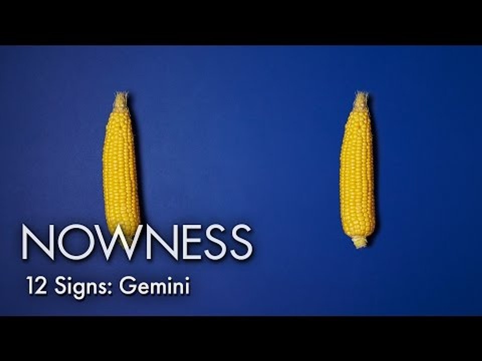 12 Signs: “Gemini” by Luke Stephenson
