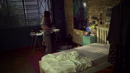 Zica e os Camaleões - Sempre às Segundas (Clipe Oficial)