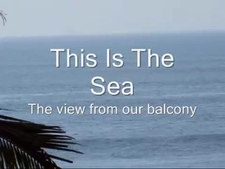 More dolphins in Goa