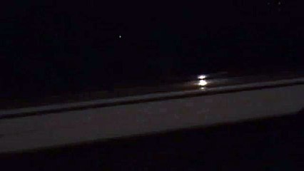 Eerie Animal Sound in the Night