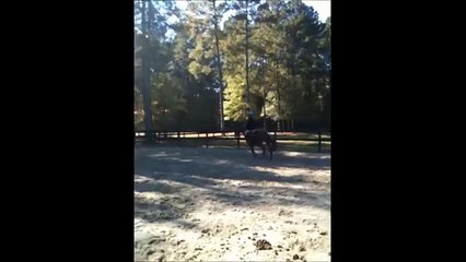 Call Me Maybe / Lessons!