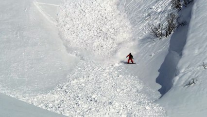 Entre lapin et avalanche, qui sera le plus fort ?