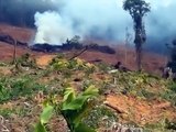 Malaysian Forest Destructed by Perak State Government Agency