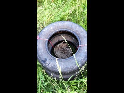 Astuce pour couper du bois : ça va vous changer la vie