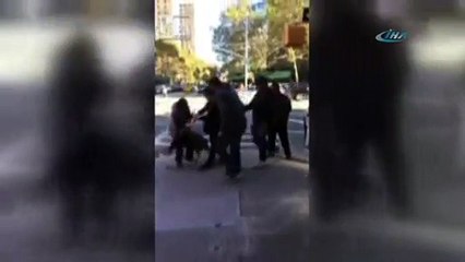 Pitbull ısırdığı kediyi dakikalarca bırakmadı