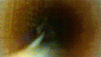 The Kids Aren't Alright ~ Fall Out Boy (COVER)