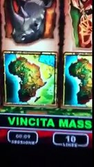 Vincita 5.000€ VLT Big Easy