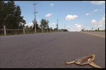 Best Scene In Billy Madison