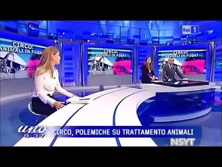 SGARBI DELIRIO VS ANIMALI